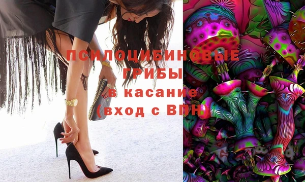 прущий лед Абаза