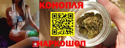 трава Кандалакша