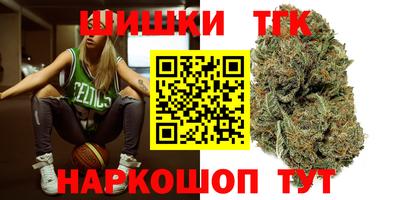 амф Камышлов