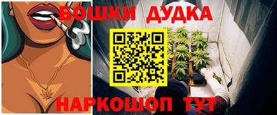 МДПВ Канаш