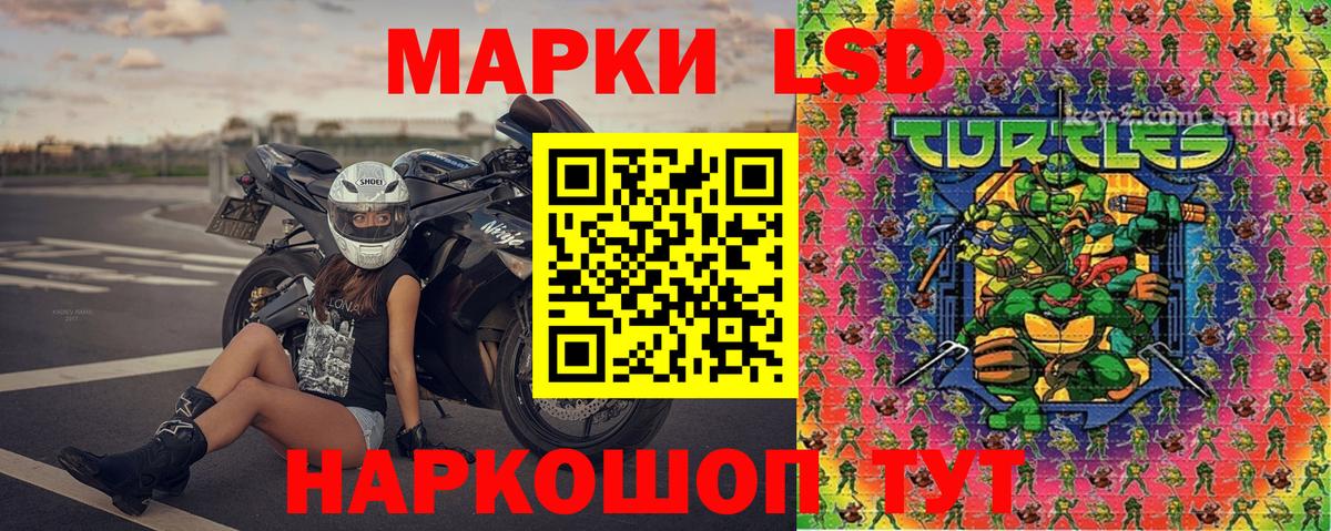 Меф  NBOMe  Курчатов  ЭКСТАЗИ  APVP СК   Гашиш  Мефедрон   Вход с VPN  COCAIN  Гашиш 
