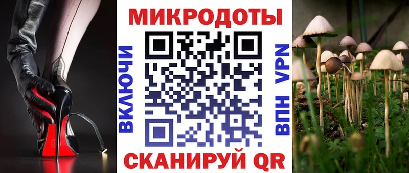 Галлюциногенные грибы мухоморы  Курчатов 