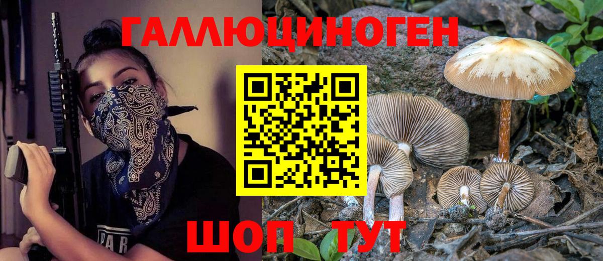 Галлюциногенные грибы Magic Shrooms  Вход с VPN  Курчатов 